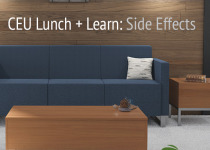thumbnail-StanceCEU